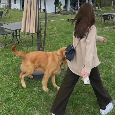 四个阿妈一个佬